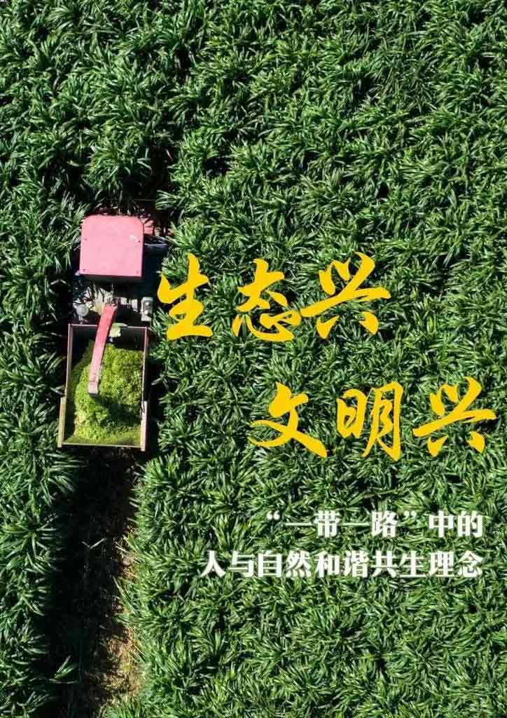 “一帶一路”高峰論壇丨生態(tài)興 文明興，“這是一條綠色可持續(xù)發(fā)展之路”
